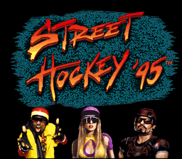 Street Hockey '95